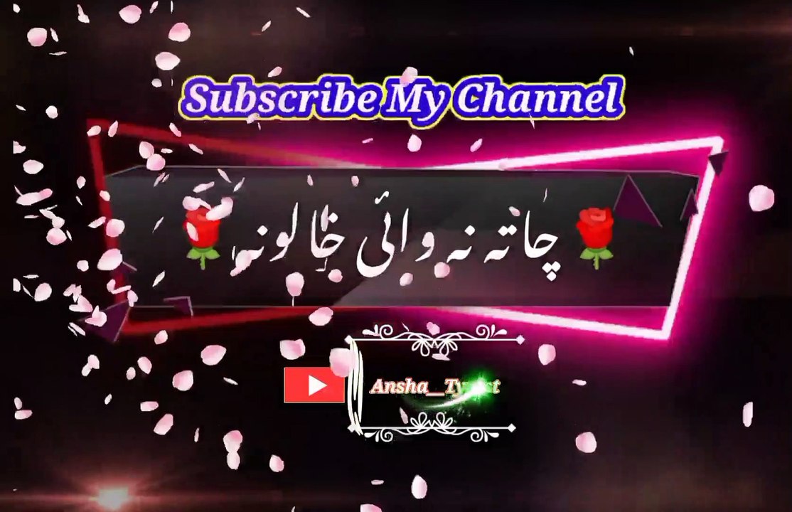 Sok chi yarana ki | Pashto poetry | pashto black screen status | ansha__typist.