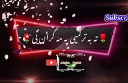 Pa gran yi | Pashto poetry | pashto black screen status | ansha__typist.