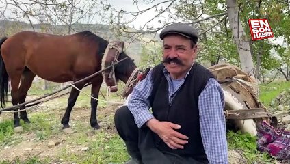 Kahramanmaraş'ta ata koştuğu sabanla tarlaları sürdü, 2 oğlunu doktor olarak okuttu