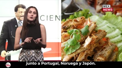 ¿QUÉ TAN BUENO ES COMER PESCADO PARA TU SALUD?