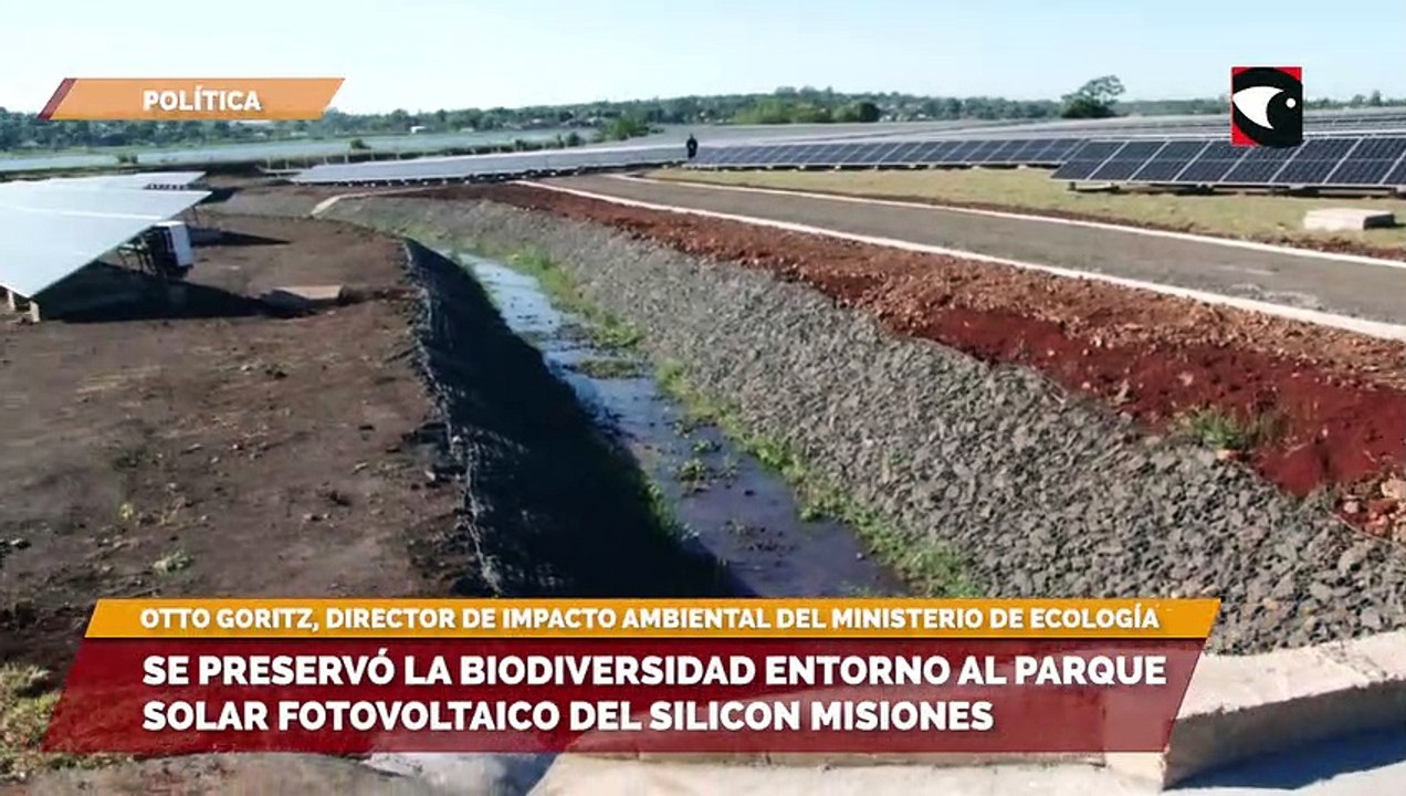 Para establecer el Parque Solar Fotovoltaico del Silicon Misiones se realizaron trabajos de preservación ambiental