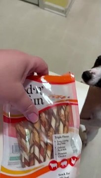 Triple flavored treats for Princess