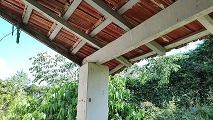 CASA ABANDONADA, ENFRENTEI MATO ALTO