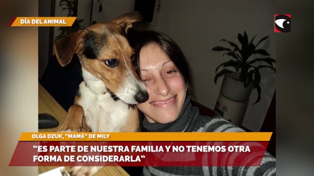 Día del Animal | Mily es considerada una perrhija, fue rescatada a los 2 días de nacer, “es parte de nuestra familia y no tenemos otra forma de considerarla”