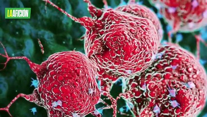 Paco Villa revela que padece un cáncer "agresivo": "Ya estoy en tratamiento"