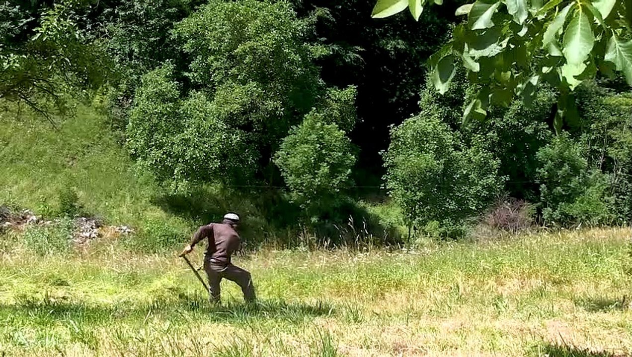 Ardéchois paysans montagnards | movie | 2023 | Official Trailer - video ...