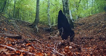 MIRTILLO - numerus I | movie | 2023 | Official Teaser