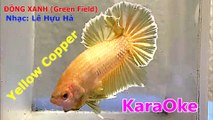 kARAoKE - ĐỒNG XANH (Yellow Copper)_ngắt lời