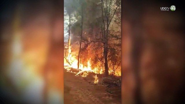 Confirman la muerte de un brigadista en el incendio forestal de Tapalpa.