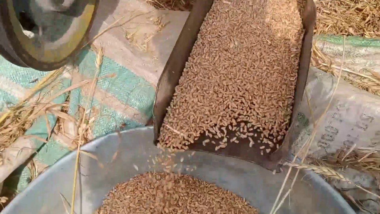 Machine Laga hi di