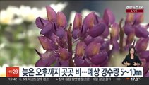 [날씨] 4월 마지막 주말 곳곳 비…늦은 오후 대부분 그쳐