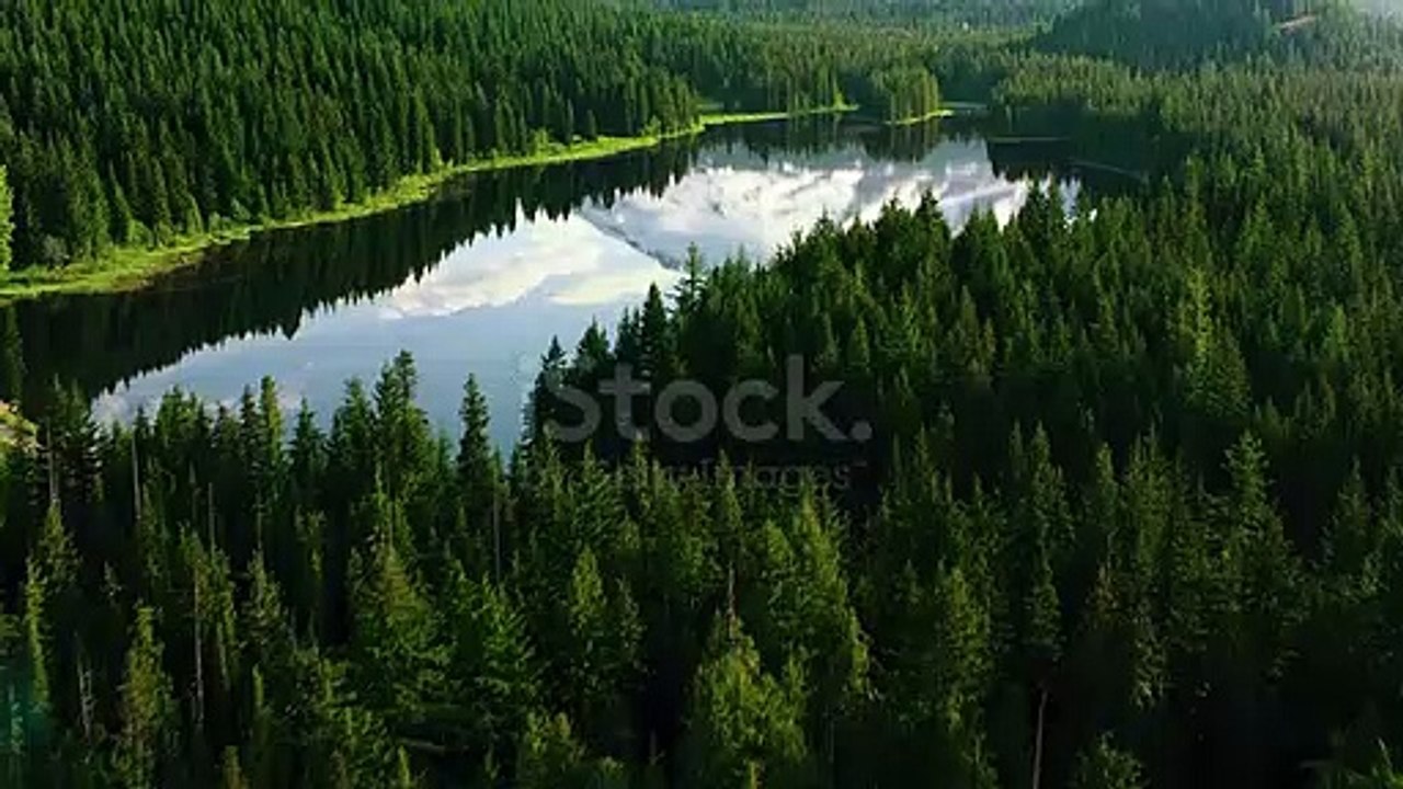 nature in 4k
