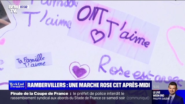 Vosges: les habitants de Rambervillers pourront rendre hommage à la fillette lors d'une marche rose ce samedi après-midi