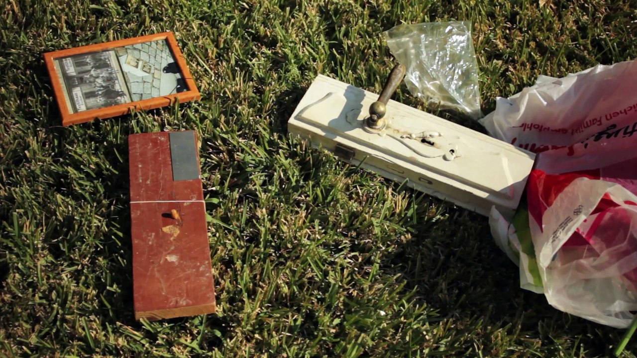 DER RHEIN FLIESST INS MITTELMEER Film