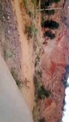 अवैध खनन से खोखली हुई पहाडिय़ां, वन संपदा को पहुंच रहा नुकसान