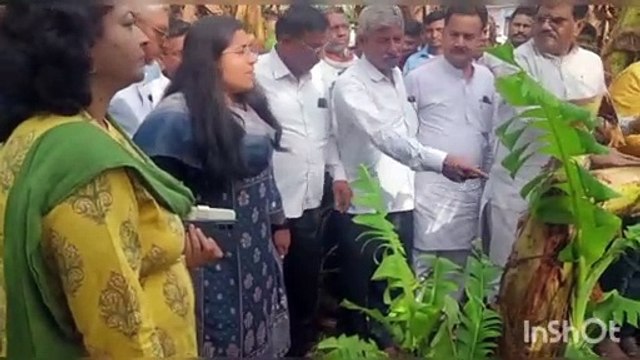 MP, Collector reached the fields with officers and saw the damage