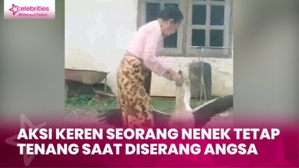 Aksi Keren Seorang Nenek Tetap Tenang saat Diserang Angsa