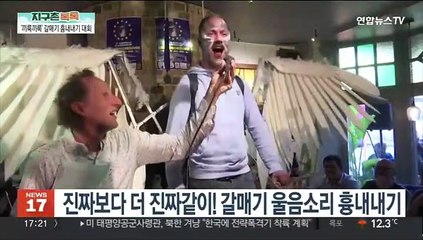 [지구촌톡톡] 진짜보다 더 진짜같이! 갈매기 울음소리 흉내내기 外