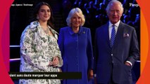 Charles III et la reine Camilla soudés : Nouveaux portraits symboliques révélés à une semaine du couronnement