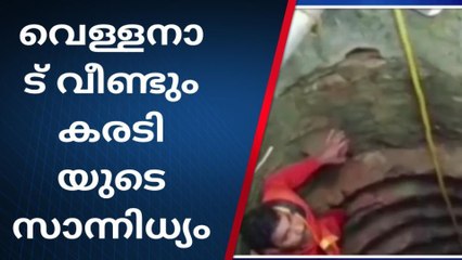 വെള്ളനാട് വീണ്ടും കരടിയുടെ സാന്നിധ്യം എന്ന് ആശങ്ക