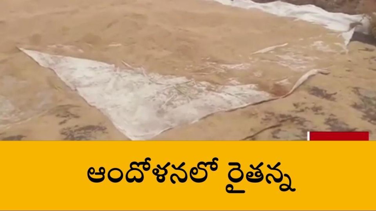 మంచిర్యాల: అన్నదాత కష్టం.. అకాల వర్షానికి ఆగమాగం