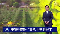 사라진 꿀벌에 구인난까지…“드론, 너만 믿는다”