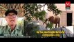 Buscan compañeros para elefanta Ely en Zoológico de Aragón