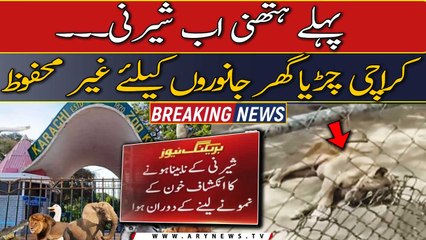 After Noor Jehan, The lioness in Karachi's Zoo is in trouble