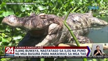 Ilang buwaya, nagtatago sa ilog na puno ng mga basura para makaiwas sa mga tao | 24 Oras Weekend