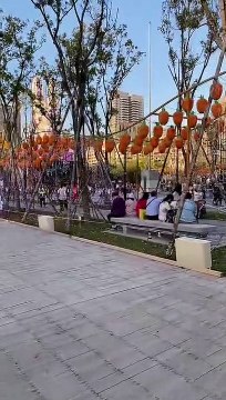 台灣燈會在台北-燈會巡遊 Taiwan Lantern Festival in Taipei-Parade Lantern 2/18 17:08 - 17:25