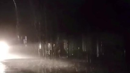 आमला : सतपुड़ा डेम का लेवल बढ़ा, अच्छी बारिश हुई तो अब खोले जाएंगे डेम के गेट