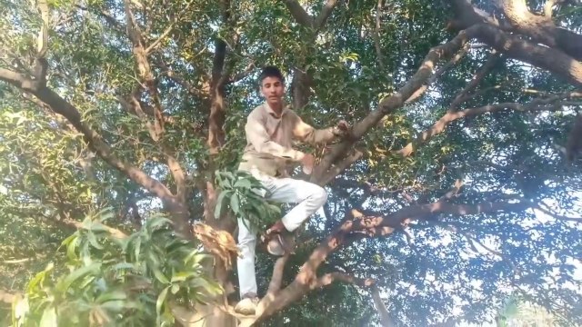 SHOLAY Veeru wants basanti | pankajctp