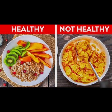 Quick Breakfast Ideas to Start Your Day || Healthy Recipes For The Whole Family!