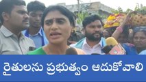 సూర్యాపేట: రైతులకు నష్టపరిహారం చెల్లించాలి- వైఎస్.షర్మిల