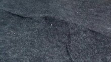 A Cute Tabby Cat Stalks and Attacks (2)