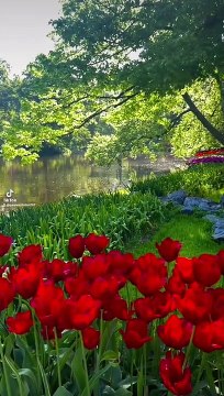 Quran recitation Beautiful Video Of Nature, Amazing Places On Earth