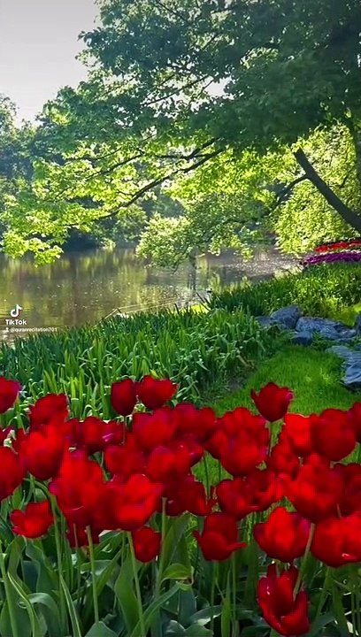 Quran recitation Beautiful Video Of Nature, Amazing Places On Earth