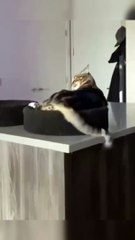 Keep a Little Freakiness in Life 😄