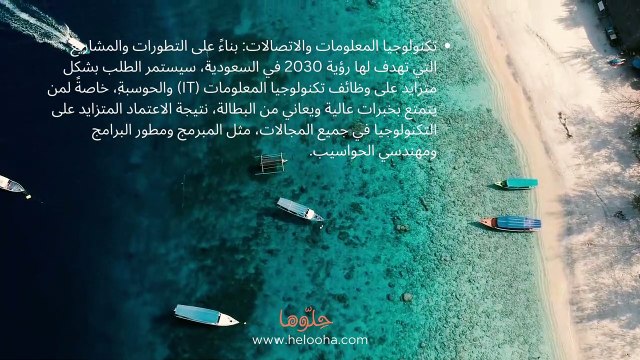 بحث عن البطالة في السعودية وحلول البطالة في رؤية 2030
