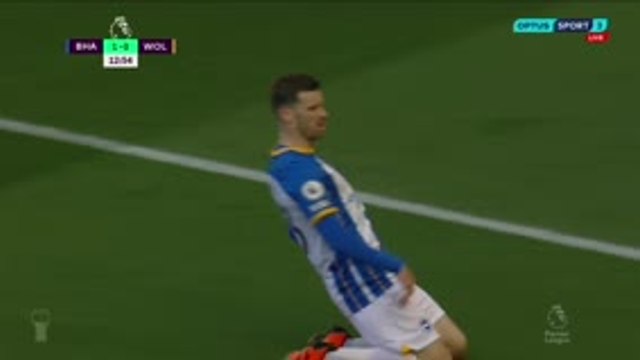 Brighton & Hove Albion v Wolverhampton Wanderers