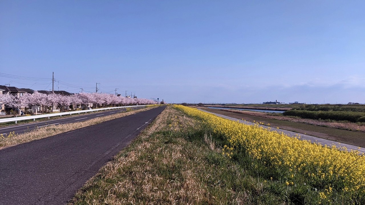 View from Bank Ⅱ