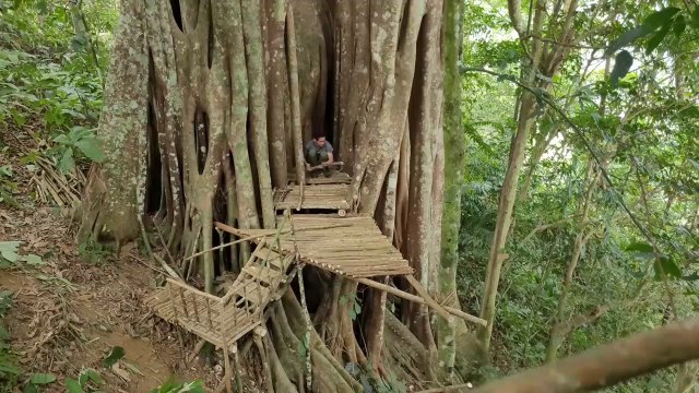 Building Shelter Under A Thousand-Year-Old Tree/Eat Cassava/Sleep Overnight- Mountain Lifes Alone