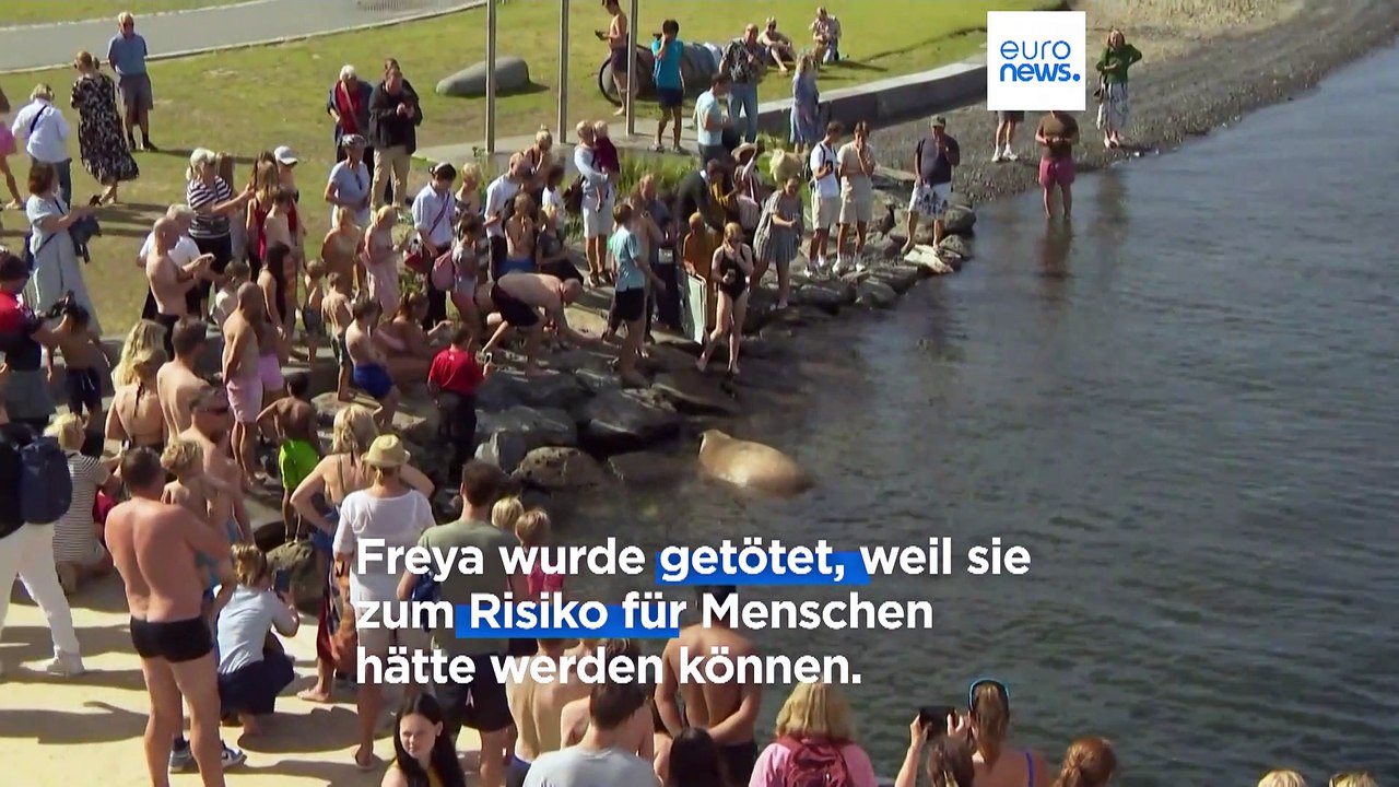 Denkmal für eingeschläfertes Walross Freya in Oslo enthüllt