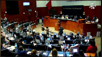 ¡Panista es despedazada por llamar levanta dedos a senadores de la 4T!