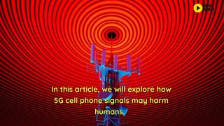 How do 5G cell phone signals harm humans?
