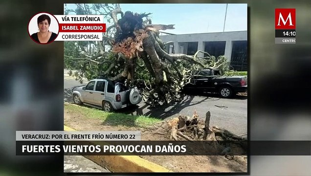 En Veracruz, vientos de más de 110 km por hora tiran árboles sobre vehículos