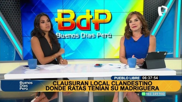 Ratas en Pueblo Libre: clausuran local clandestino de gallos donde roedores tenían su madriguera