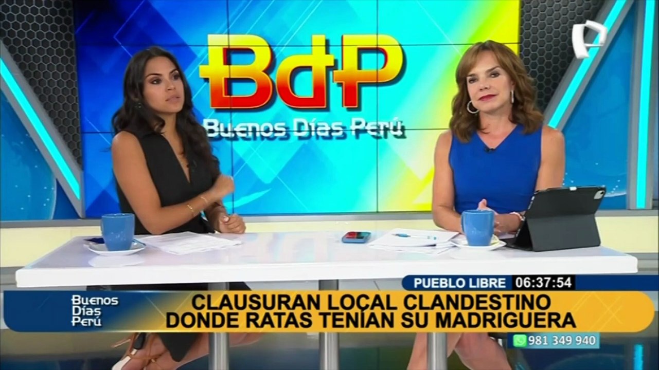 Ratas en Pueblo Libre: clausuran local clandestino de gallos donde roedores tenían su madriguera