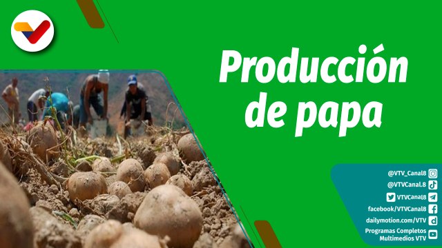 Cultivando Patria | Impulso de la producción nacional de semillas de papa