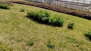 お台場青海地区P区画　全体